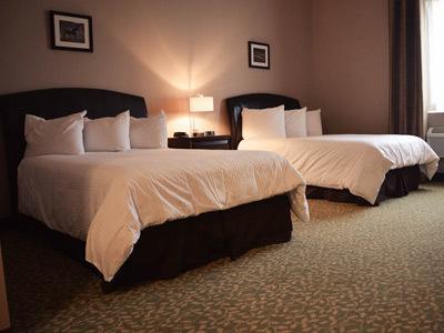 Belvedere Inn Schenectady - Albany Rom bilde